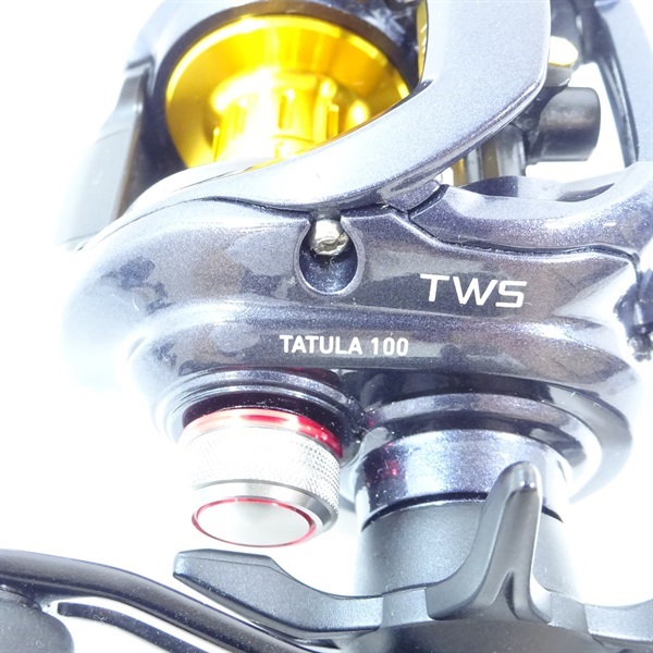 １４タトゥーラ１００
